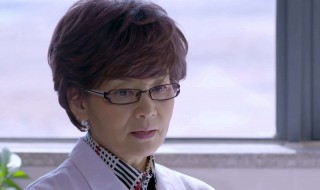 一凡双燕是什么电视剧 什么时候播出的呢