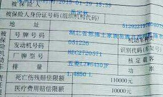 交强险和车船税电子版可以年审吗 交强险和车船税电子版可不可以年审