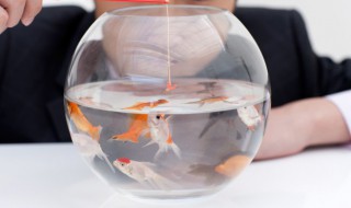 打串钩用什么鱼竿 抛竿串钩钓鱼注意事项有哪些？