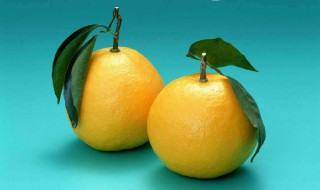 胡柚能吃吗 胡柚的营养价值