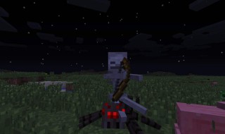 我的世界凋零怪怎么做 看完恍然大悟