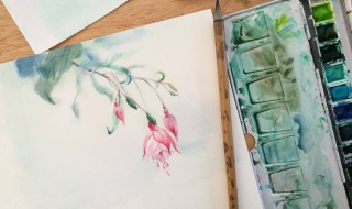 初学者水彩纸买多少g的 初学者容易忽视的入门问题