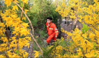 护林员巡山日记怎么写 写法示例