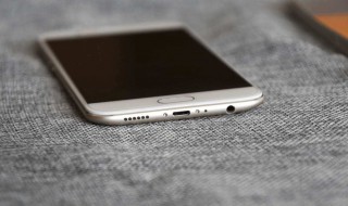 oppo喇叭进水没声音 oppo手机进水喇叭没声怎么办