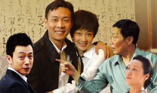 宇文彤(达达)主演了哪些家庭电视剧 电视剧精彩内容介绍