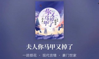 顾西迟秦苒是什么小说 小说内容简介