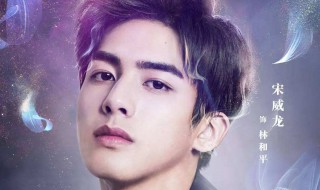电视剧彼岸花宋威龙演谁 答案看下面