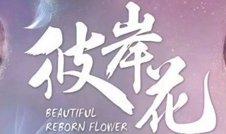 电视剧彼岸花什么时候上映 你知道吗