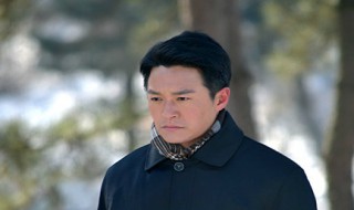 招娣赵起刚什么电视剧 招娣赵起刚的电视剧介绍