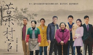 会打球的村官是什么电视剧 该剧主要讲述什么故事