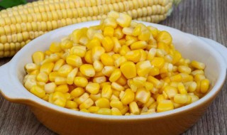 窖香玉米饵料制作方法 玉米做饵料简单便宜大小通杀