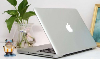 苹果电脑充电指示灯不亮充不了电怎么办? 如何解决