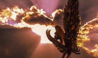 铜雀春深寓意什么 铜雀春深比喻什么