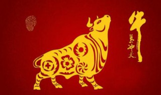 牛年初八祝福语（牛年初二祝福语）