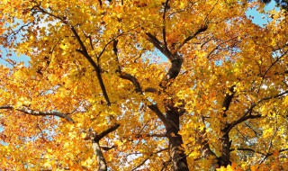 南黄古道自助游攻略 南黄古道徒步攻略