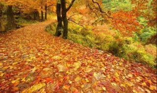 天台南屏乡南黄古道介绍 天台山南黄古道