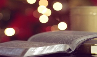 形容冬天的灯景很美的句子 比喻冬天的美景的句子