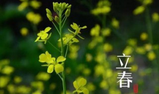 立春文案诗意（立春文案长句）