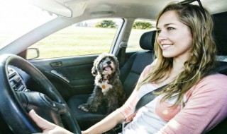 异地驾驶证换证流程（网上异地驾驶证换证流程）