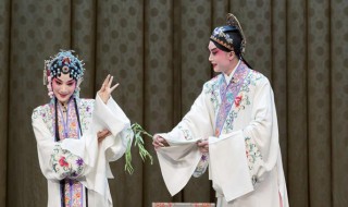 牡丹亭赏析500字 读牡丹亭有感500字