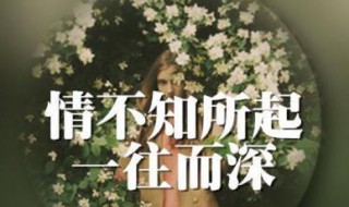 情不知所起一往而深出自哪里 情不知所起一往而深出自于哪里