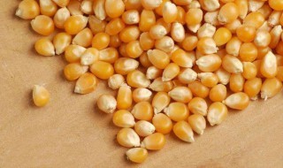 玉米吊坠什么意思（玉米玉坠有什么寓意）