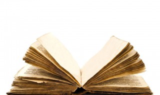 无下限是什么意思(五条悟无下限是什么意思)