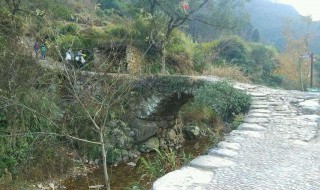 南黄古道游玩攻略(南黄古道一日游攻略)