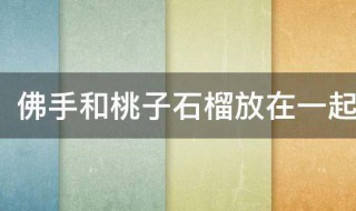 佛手和桃子石榴放在一起寓意 佛手和桃子石榴放在一起寓意什么作业本上怎么写