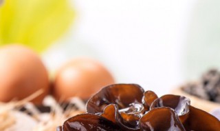 泡发过的木耳怎么保存（泡发过的木耳怎么保存一年）