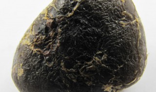 鸭宝怎么保存（鸭宝怎么保存去哪里鉴定）