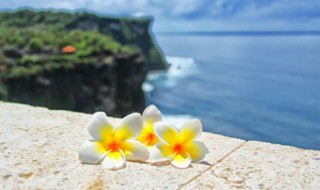 风景照拍摄技巧(风景照的拍摄技巧)