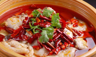 怎么做水煮鱼 怎么做水煮鱼好吃又简单