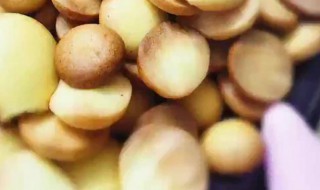 鸡蛋小饼干怎么做（鸡蛋小饼干怎么做视频）