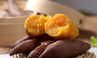 红薯苗的培育方法(红薯苗的培育方法和管理)