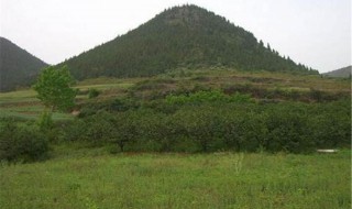 看坟地怎么看出好风水（怎样看坟地风水好坏）