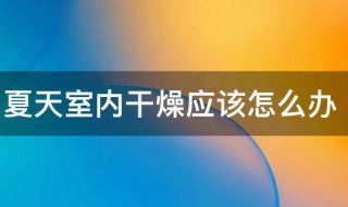 夏天室内干燥应该怎么办 夏天房间很干燥怎么办有什么办法