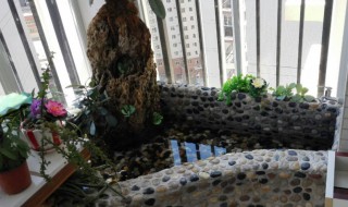 大鱼池除藻有什么为方法 鱼池藻类怎么清除