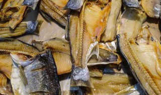 腌鱼的小技巧 腌鱼的小技巧视频