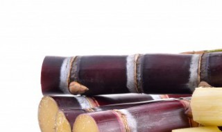 吃甘蔗的好处和坏处 吃甘蔗的好处和坏处是什么