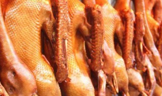 潮汕美食介绍 潮汕美食介绍英语