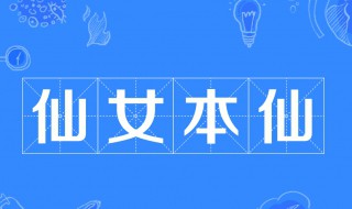 仙女本仙是什么意思 仙女本仙下一句是什么