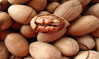 碧根果怎么吃 生的碧根果怎么吃