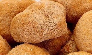 猴头菇清洗方法(猴头菇清洗方法视频)