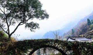 台州黄南古道几月份去最佳(台州黄南古道攻略)