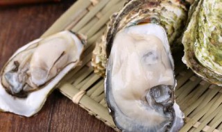 海蛎子的保存方法 海蛎子的保存方法与用法