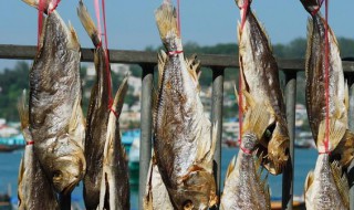 咸鱼怎么储存（咸鱼咸肉怎么储存）