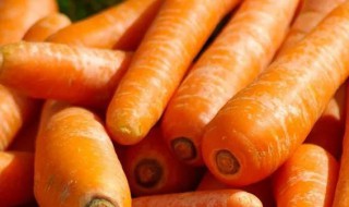 红萝卜怎么储存（红萝卜怎么储存方法）