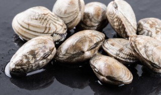 花甲怎么储存（花甲怎么储存保鲜）