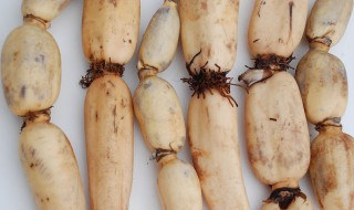 藕怎么储存保鲜（藕怎么储存保鲜好）
